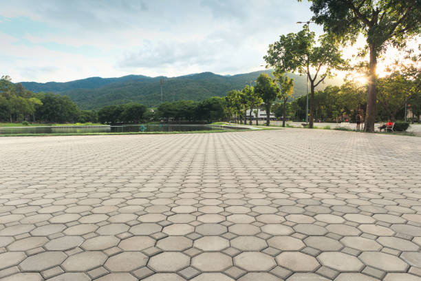 Caro, MI Driveway Pavers Company